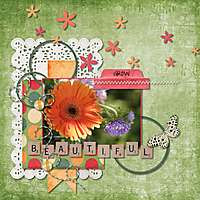 Beauty-In-Bloom---kit--web.jpg