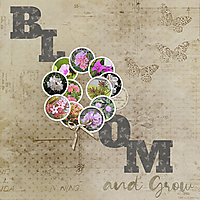 Bloom-L1V2-copy.jpg