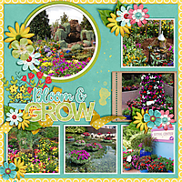Bloom-_-Grow.jpg