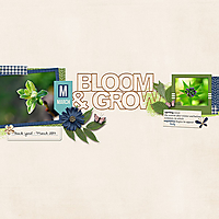 Bloom_Grow1.jpg