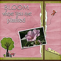 Bloom_Grow_pg1_copy.jpg