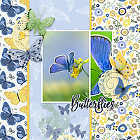 Blue-Karner-Butterfly-Bliss.jpg