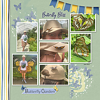 Butterfly-Garden6.jpg