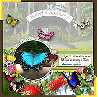 Butterfly_Sanctuary.jpg