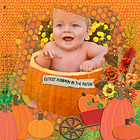 Cutest-Pumpkin-in-the-Patch2.jpg