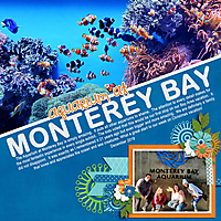 December-19-Monterey-Bay-Aquarium1WEB.jpg