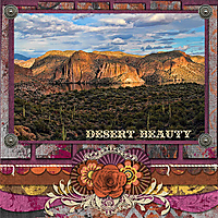 Desert_Beauty_Arizona.jpg