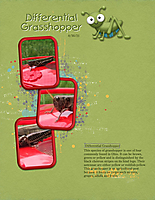Differential-Grasshopper.jpg