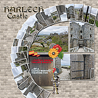 Europe_Wales_Castle-001_copy.jpg