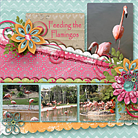 Feeding_the_Flamingos_2.jpg