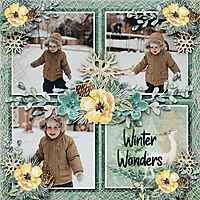 Gallery-Winter-Wonders.jpg