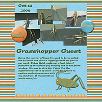 GrasshopperGuest_10122009.jpg