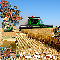 Harvest6.jpg