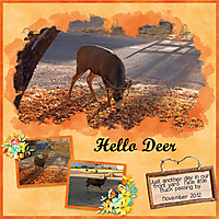 Hello_Deer.jpg
