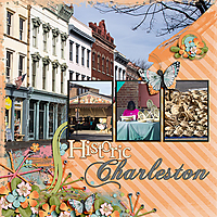 Historic-Charleston-Lns_pixieplate_308-copy.jpg