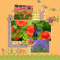 In_Bloom_Four_Seasons_2-1_Dagi_.jpg