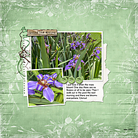 Irises.jpg