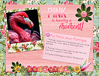 July-3---Scattergories---Pink-is-Having-a-Moment.jpg