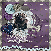 Kisses-sweet-Stella.jpg