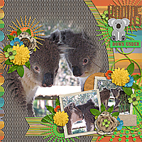 Koalas-Downunder-tmonetteAtthezoo-capBlendintempv2.jpg