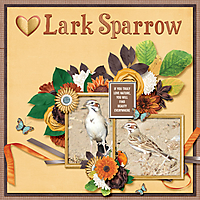 Lark_Sparrow_small.jpg