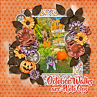 October-Walks-web.jpg