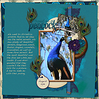 Peacock-memories.jpg