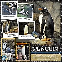 Penguin2.jpg
