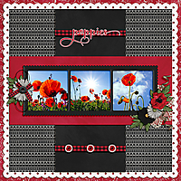 Poppies-copy.jpg
