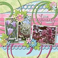 Pretty_Spring_Flowers.jpg