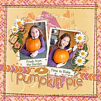 Pumpkin_Pie_med.jpg