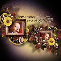 Remember_the_love_cs2.jpg