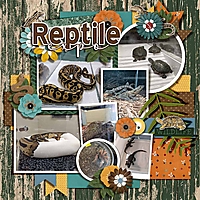 Reptile_Expo_dss.jpg