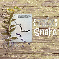Snake3.jpg