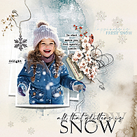 Snow-Delight-trmisuLikeASnowflake.jpg