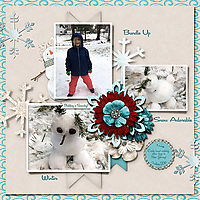 Snow-Dog_web.jpg