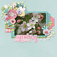 Spring-Has-Sprung21.jpg