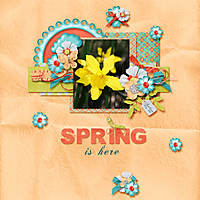 Spring_Is_Here1.jpg