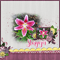 Stargazer-Bouquet.jpg