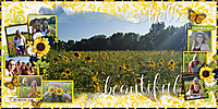 Sunflower_Fields_Aug_20_2020_smaller.jpg
