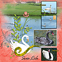 Swan-Lake-LKD-SideStep-T2-copy.jpg