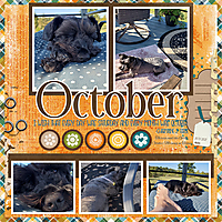 TB-2020-Oct-Bundle-and-Template-3.jpg