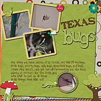TexasBugs_qbm600.jpg