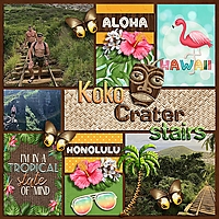 Travel_Basics_West_MF_and_Aloha_LDrag_-_Ella.jpg