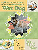 Wet-Dog.jpg