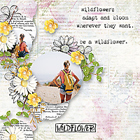 Wildflower14.jpg