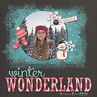 Winter_Wonderland8.jpg