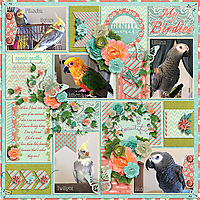 You-Is-Kiind-Layout---WLS-April-Product-Challenge.jpg