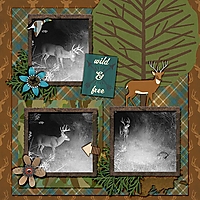 cmg_gone-hunting-brittbree-deer.jpg