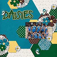 daisies1.jpg